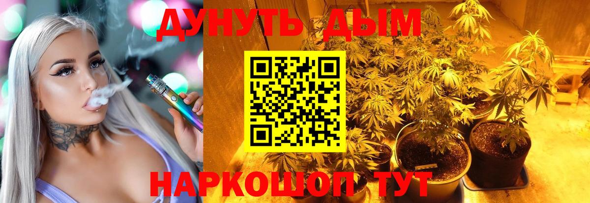 МАРИХУАНА Bruce Banner  Бошки марихуана Ganja  Ишим  Каннабис индика  Вход с VPN  Бошки Шишки планчик 